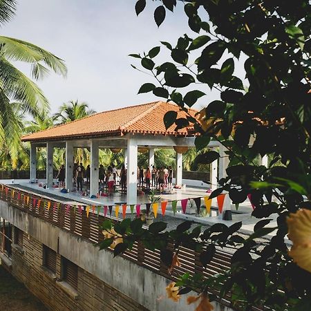 Utmt - Underneath The Mango Tree Spa & Beach Resort Dikwella Exteriér fotografie