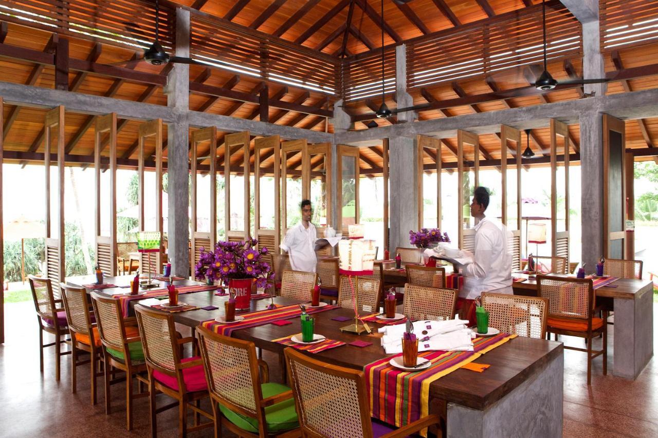 Utmt - Underneath The Mango Tree Spa & Beach Resort Dikwella Exteriér fotografie